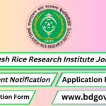 Bangladesh Rice Research Institute Job Circular